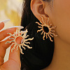 304 Stainless Steel Stud Earrings FS-WG82045-15-1