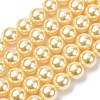 Electroplated Shell Pearl Beads Strands BSHE-G041-10mm-01-1