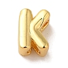 Rack Plating Brass Pendants X-KK-L220-001G-K-1