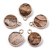 Natural Picture Jasper Pendants G-T131-101C-1