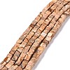 Natural Picture Jasper Beads Strands G-C240-01-1