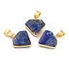 Natural Lapis Lazuli Pendants G-B012-03G-03-1