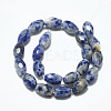 Natural Blue Spot Jasper Beads Strands G-S357-A06-2