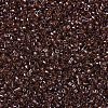 MIYUKI Delica Beads SEED-X0054-DB1891-3