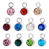 10Pcs Glass Rhinestone Charms STAS-TA0003-26J-2