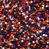 Baking Paint Glass Seed Beads X-SEED-S042-05B-49-3
