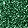 12/0 Glass Seed Beads X-SEED-A017-2mm-1114-2