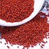 MIYUKI Delica Beads LS-X-SEED-J020-DB0795-1