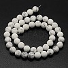 Natural Howlite Beads Strands X-G-D696-6mm-2