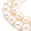 Natural Cultured Freshwater Pearl Beads Strands PEAR-C003-13F-4