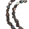 1 Strand Natural Abalone Shell/Paua Shell Beads Strands SSHEL-ME0001-01-1