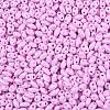 Baking Paint Glass Seed Beads SEED-T006-03L-2