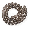 Transparent Glass Beads Strands GLAA-T032-T10mm-02-2