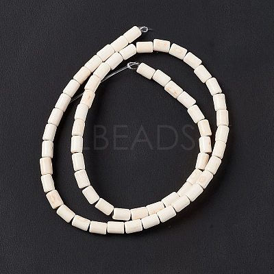 Synthetic Turquoise Beads Strands TURQ-G120-4x6mm-12-1