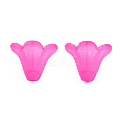 Frosted Acrylic Beads PL692-3-1