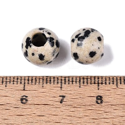 Natural Dalmatian Jasper European Beads G-Q607-02M-1