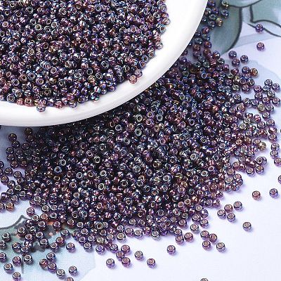 MIYUKI Round Rocailles Beads X-SEED-G007-RR1013-1