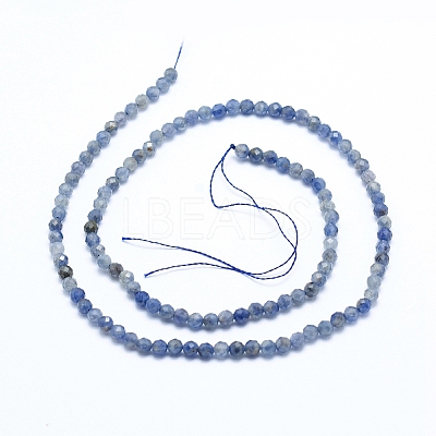 Natural Iolite/Cordierite/Dichroite Beads Strands X-G-G823-15-3.5mm-1