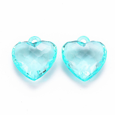 Transparent Acrylic Pendants TACR-T024-03B-946-1