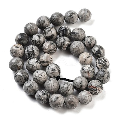 Natural Map Stone/Picasso Stone/Picasso Jasper Strands G-G099-10mm-27-1