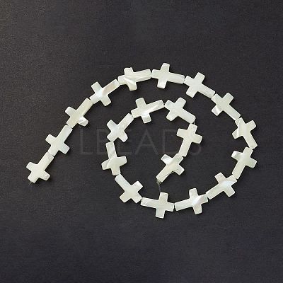 Natural Trochid Shell/Trochus Shell Beads Strands SSHEL-K027-05-1
