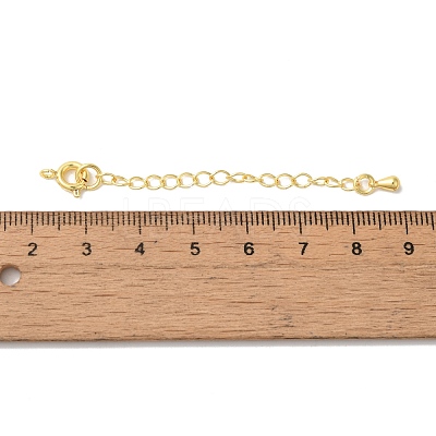 Rack Plating Brass Ends with Chain and Clasps KK-F873-01G-02-1