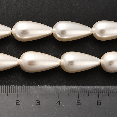 Electroplate Shell Pearl Beads Strands BSHE-G010-10x20mm-01-1