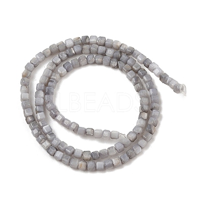 Natural Freshwater Shell Dyed Beads Strands SHEL-R100-11A-02-1