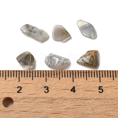 Natural Labradorite Beads G-O103-33-1