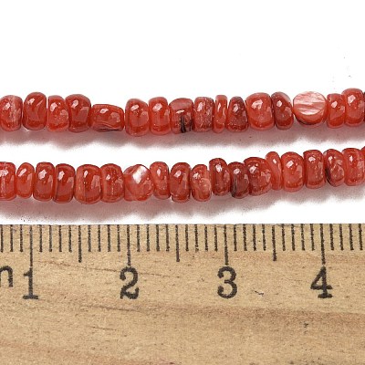 Dyed Natural Freshwater Shell Beads Strands X1-BSHE-G039-07K-1