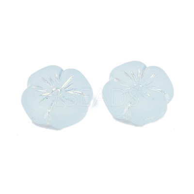 Frosted Transparent Acrylic Beads LS-OACR-P029-19B-06-1