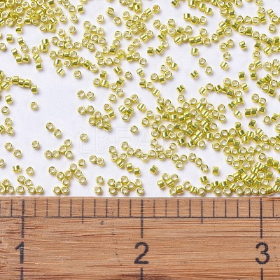 MIYUKI Delica Beads SEED-X0054-DB0424-1