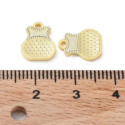 925 Sterling Silver Charms STER-C003-09G-1