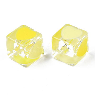 Transparent Acrylic Beads TACR-T004-10F-1