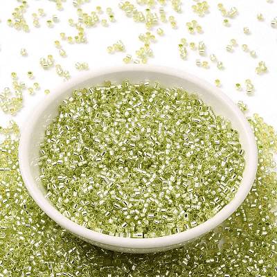Glass Seed Beads X-SEED-S042-04B-24-1