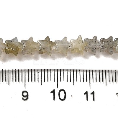 Natural Labradorite Beads Strands G-G085-B25-02-1