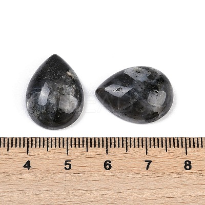 Natural Larvikite Cabochons G-H094-01A-15-1