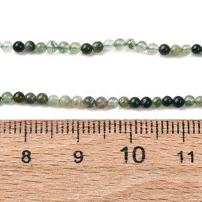 Natural Moss Agate Beads Strands G-Z116-A05-2mm-1