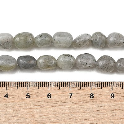 Natural Labradorite Beads Strands G-P623-A03-01-1