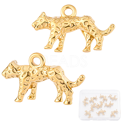 304 Stainless Steel Pendants STAS-BBC0010-85-1