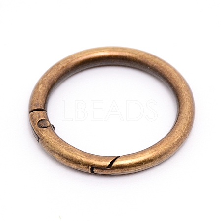Alloy Spring Gate Rings LS-AJEW-WH0129-48D-AB-1