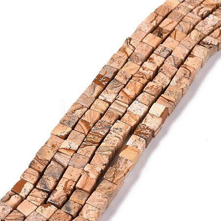 Natural Picture Jasper Beads Strands G-C240-01-1