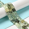 Natural Prehnite Beads Strands G-C109-A05-02-2