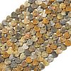 Natural Crazy Agate Beads Strands G-A272-A01-09-2
