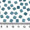 2-Hole Baking Paint Glass Seed Beads SEED-S031-L-ST1006FR-2