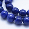 Natural Lapis Lazuli Beads Strands G-P342-01-10mm-AA-3