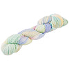 1 Skein 80% Wool 20% Acrylic Fiber Rainbow Segment Dyed Yarn OCOR-TA0003-02D-2