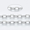 Tarnish Resistant 304 Stainless Steel Paperclip Chains CHS-S001-05A-P-2