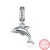 925 Sterling Silver European Dangle Charms STER-BB71403-A-2