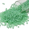TOHO 8/0 Round Beads SEED-TR08-0144F-1